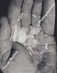 Protographies 